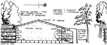 теплица и затененная пристройка - student2.ru