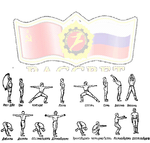 Упражнение №1 – подтягивание на перекладине. - student2.ru