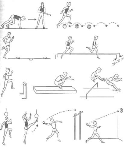 Урок — основная форма организации занятий физическими упражнениями и его построение - student2.ru