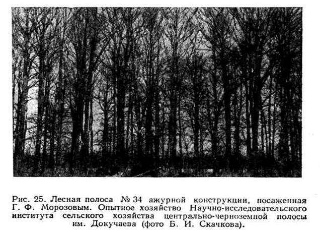 ветрозащитная способность лесных полос - student2.ru