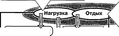 Воздействие физических упражнений на организм и ответная реакция организма на это воздействие - student2.ru