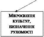 Збудник сальмонельозу - student2.ru