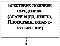 Збудник сальмонельозу - student2.ru