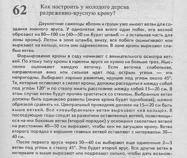 Здесь буква Р означает Размножение, буква В означает Выведение. - student2.ru