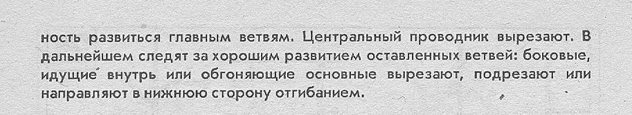 Здесь буква Р означает Размножение, буква В означает Выведение. - student2.ru