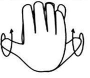 Perform and study the following gesture - student2.ru