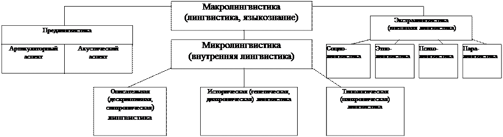 Проблема структуры (строения) языкознания - student2.ru