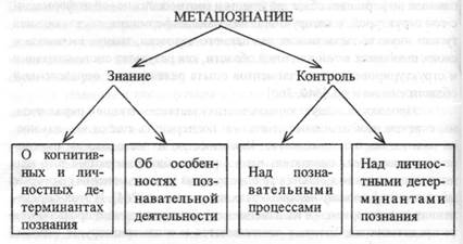 Развитие представлений о предмете исследований в метакогнитивизме - student2.ru