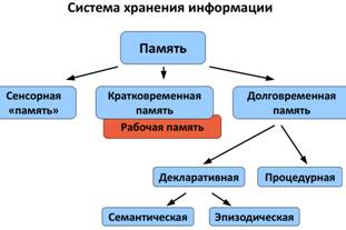 Уровни объяснения в когнитивной науке - student2.ru