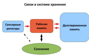 Уровни объяснения в когнитивной науке - student2.ru