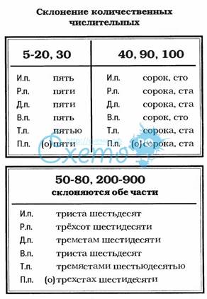 Формы именительного падежа множественного числа существительных-омонимов. - student2.ru