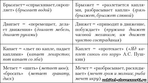 Формы именительного падежа множественного числа существительных-омонимов. - student2.ru