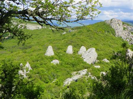 Наталья Серкина арт-терапевт, журналист, ведущий и организатор йога-туров и семейных лагерей в Горном Крыму. - student2.ru