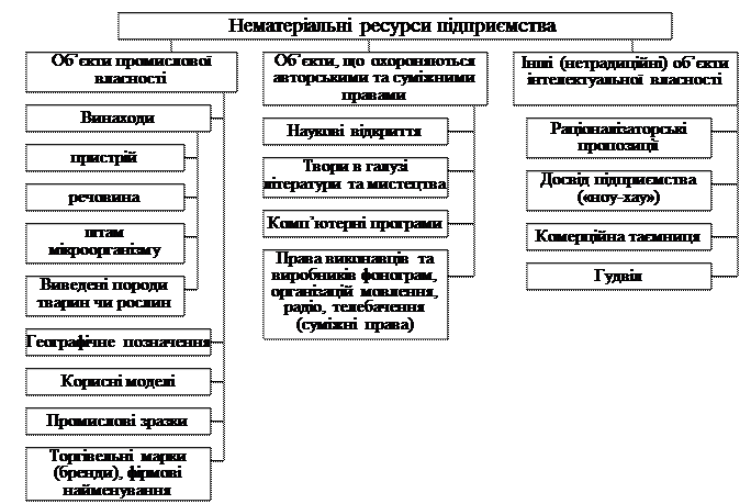 Нематеріальні ресурси, їх види та класифікація - student2.ru