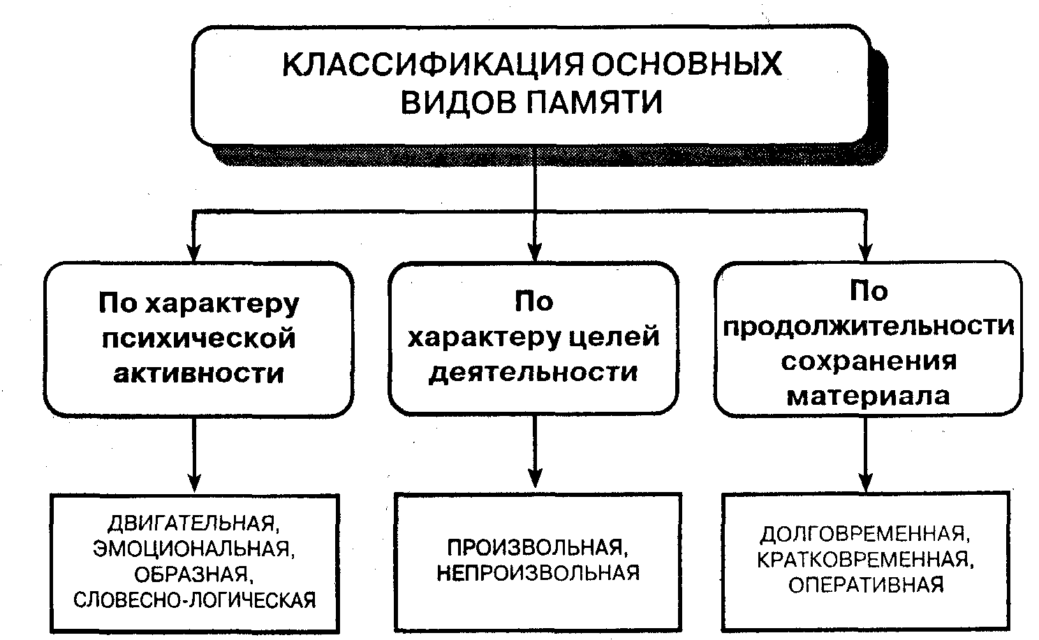 Общее представление о памяти. - student2.ru