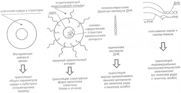 А) доступность до центра осознания различных логическнх уровней - student2.ru