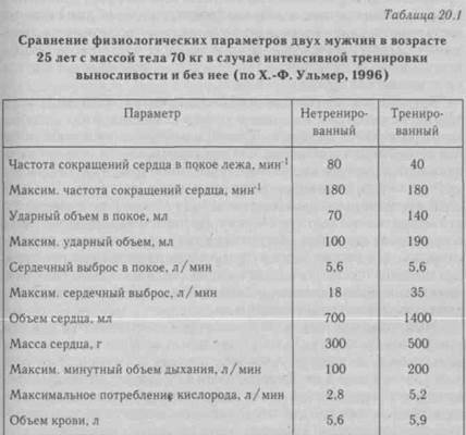 адаптивные процессы при тренировке - student2.ru