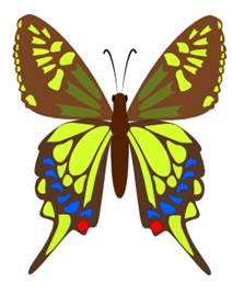 Бабочка Махаон. Рисование по сетке - student2.ru