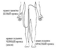 биологическая обратная связь - student2.ru