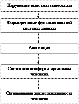 Биомеханизм адаптаций - student2.ru