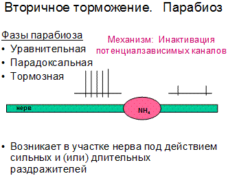 Блок информации к занятию для самостоятельной работы - student2.ru