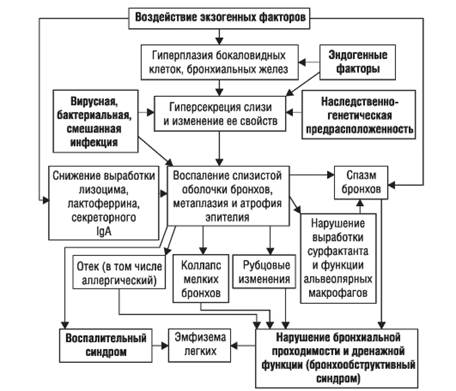 бронхоэктатическая болезнь и бронхоэктазы - student2.ru