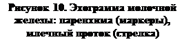 Доброкачественная гиперплазия простаты - student2.ru