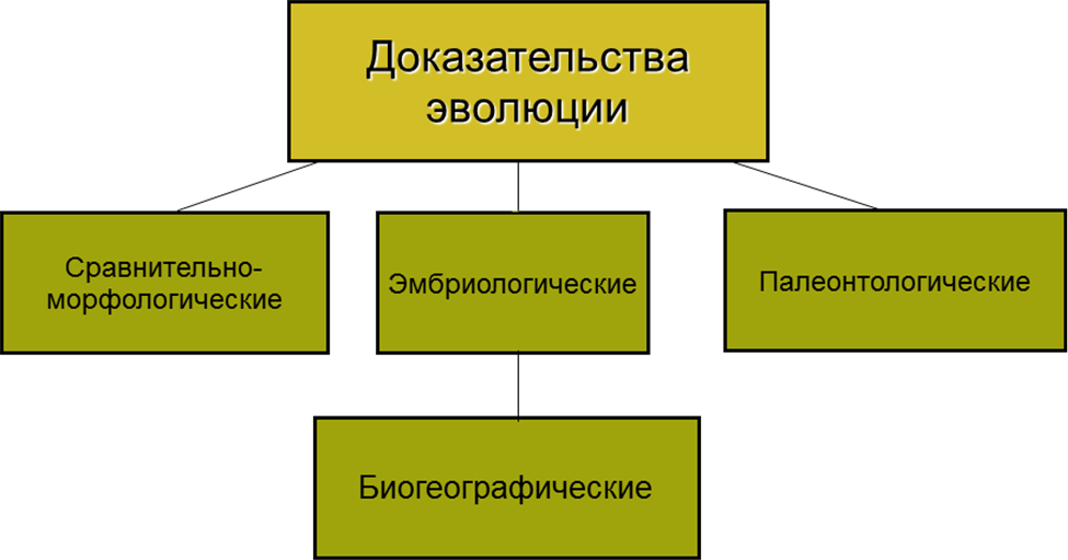 Доказательства эволюции органического мира - student2.ru