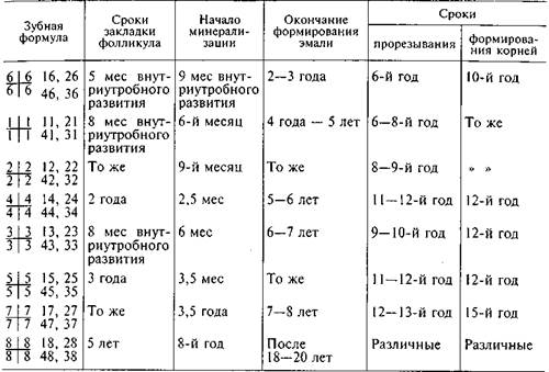 Дошкольный период (от 3 до 7 2 страница - student2.ru