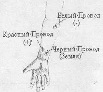 Е практическое занятие. ФИЗИОЛОГИЧЕСКИЕ СВОЙСТВА СКЕЛЕТНЫХ И ГЛАДКИХ МЫШЦ - student2.ru