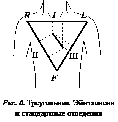 Физические основы электрографии органов и тканей - student2.ru