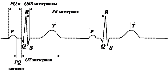 Физические основы электрографии органов и тканей - student2.ru