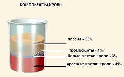 Физико – химические свойства крови - student2.ru