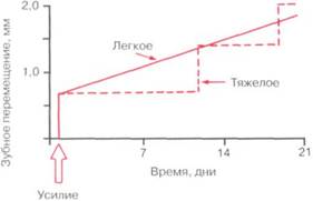 Физиологическая реакция на длительное давление на зуб - student2.ru