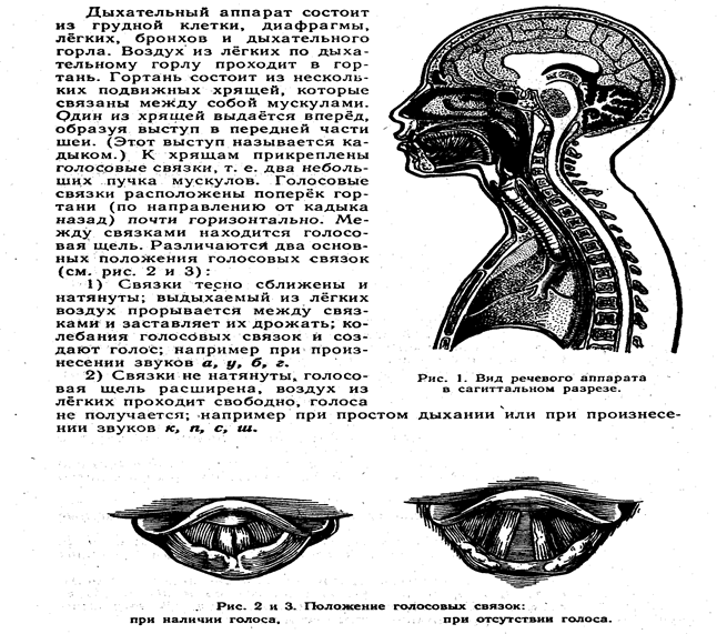 фонетика, графика. орфоэпия - student2.ru