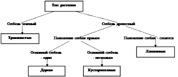 Формирование правил на основе дерева решений - student2.ru