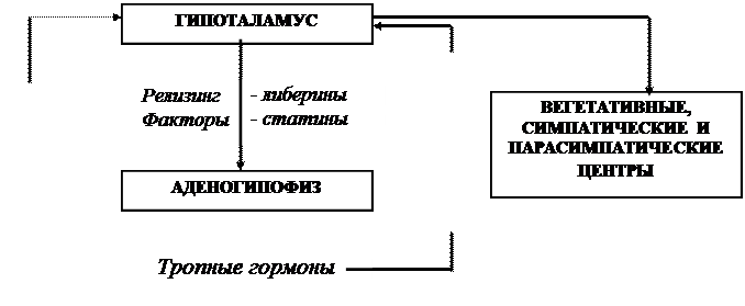 функции гормонов - student2.ru