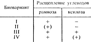 Глава 20. Шигеллы - Ф. К. Черкес - student2.ru
