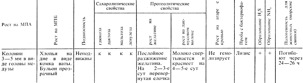 Глава 30. Возбудитель сибирской язвы - student2.ru