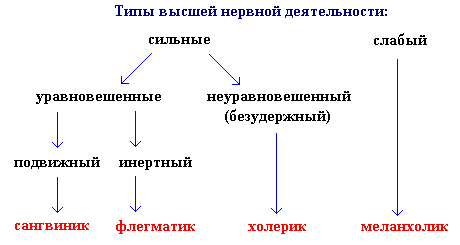 III. Вегетативные функции НС - student2.ru