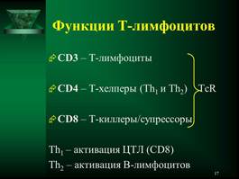 Иммунная система организма человека. - student2.ru