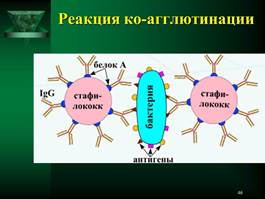 Иммунная система организма человека. - student2.ru