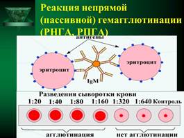 Иммунная система организма человека. - student2.ru