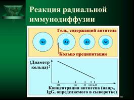 Иммунная система организма человека. - student2.ru