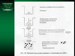 Иммунная система организма человека. - student2.ru