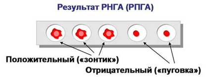 иммуномикробиологические исследования - student2.ru