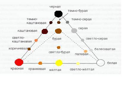 Исследование цвета и механического состава почвы. - student2.ru
