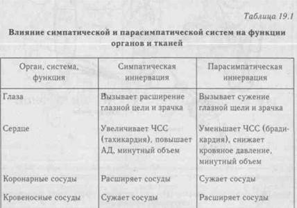 исследование остроты зрения, цветоощущения, поля зрения - student2.ru