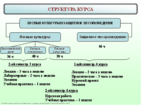 История лесокультурного дела в Беларуси и странах СНГ - student2.ru