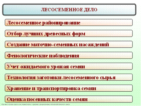 История лесокультурного дела в Беларуси и странах СНГ - student2.ru